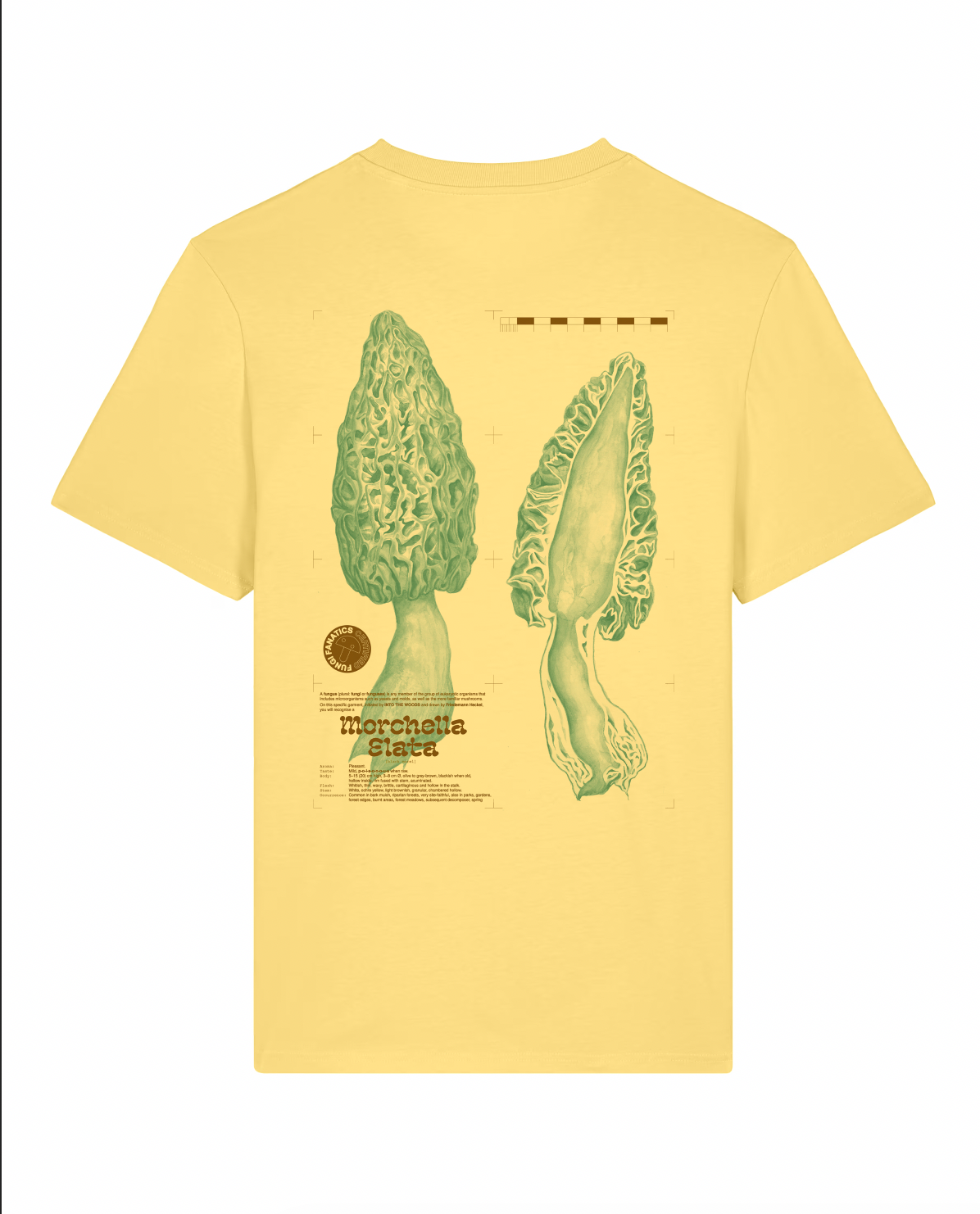 Mushroom Shirt "Morel "// Into the Woods- Find and Seek Petrol // Viva Yellow