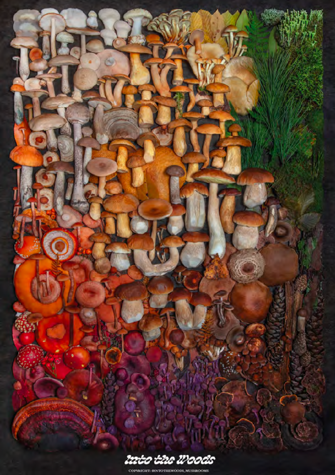 Fineart Kalender 2025