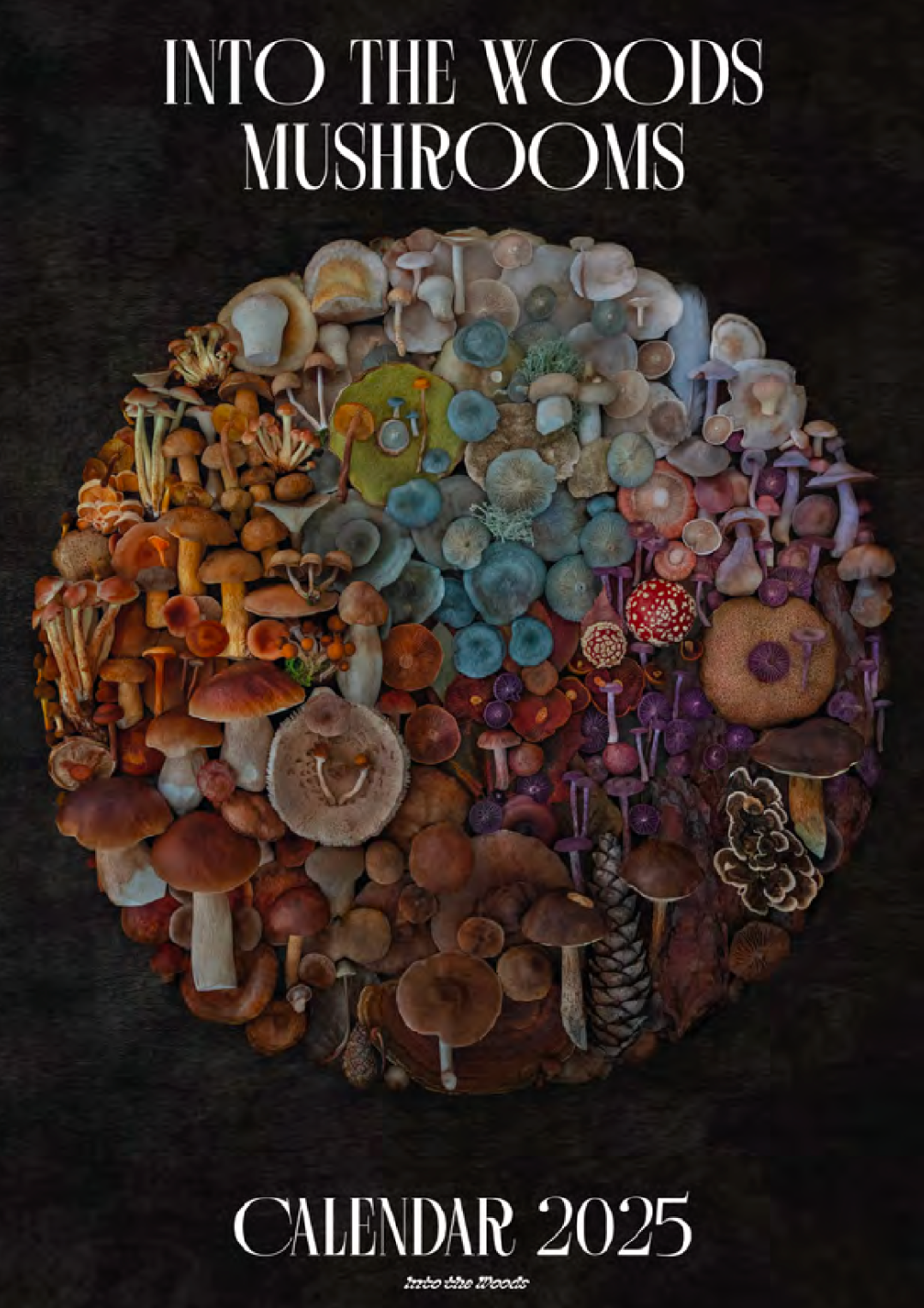 Fineart Kalender 2025