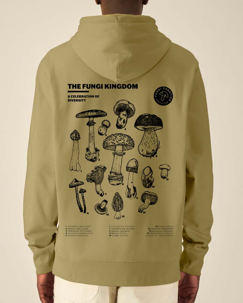 Hoodie "Fungi Kingdom" Olive