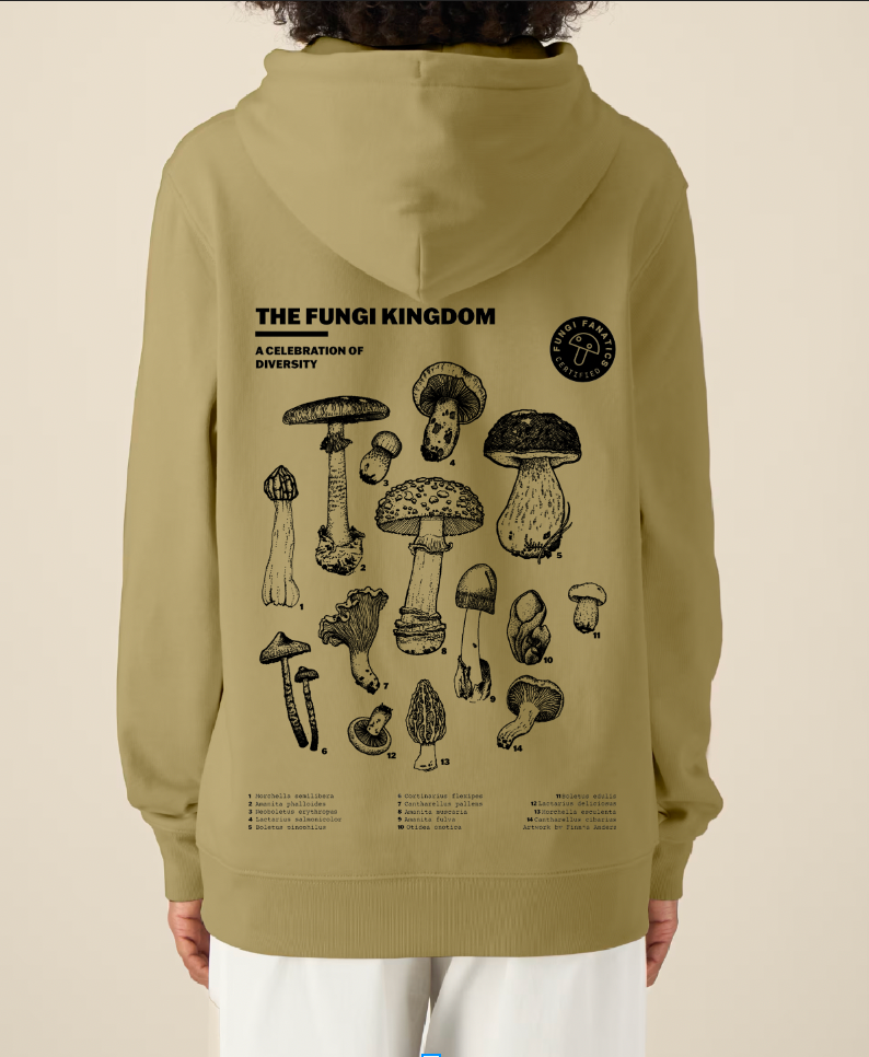 Hoodie "Fungi Kingdom" Olive