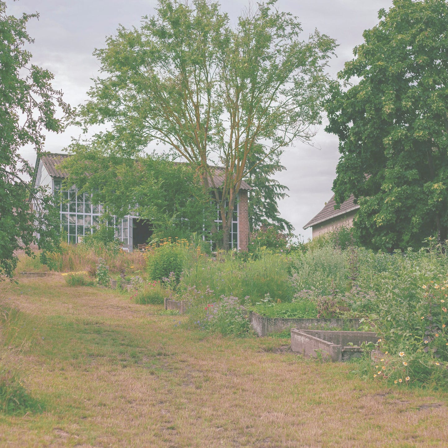 Pilzworkshop + Sternedinner, Gerswalde (Uckermark), Samstag 09.09.