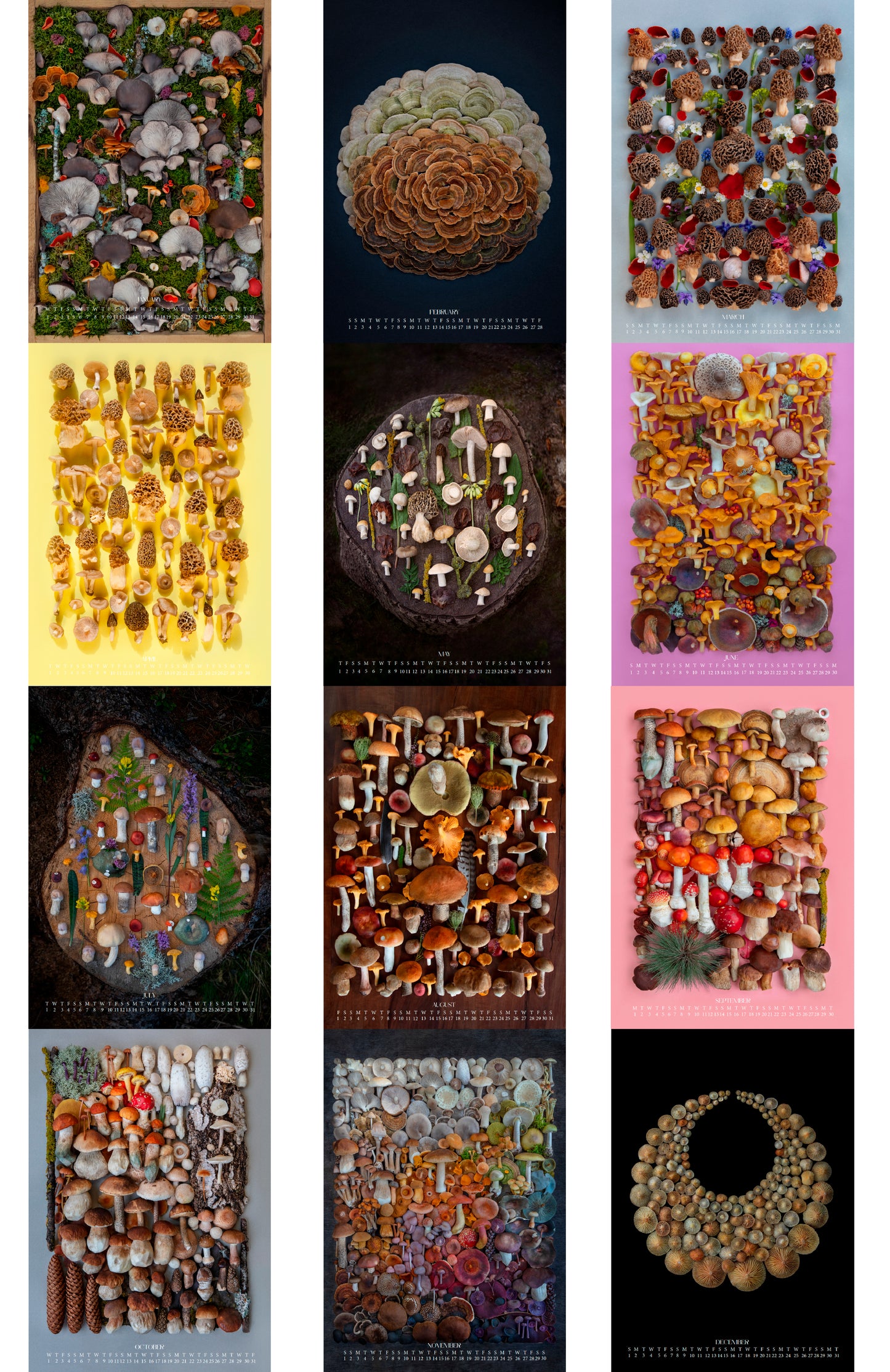 Fineart Kalender 2025