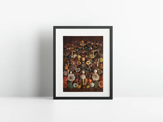Fineart Print ARD