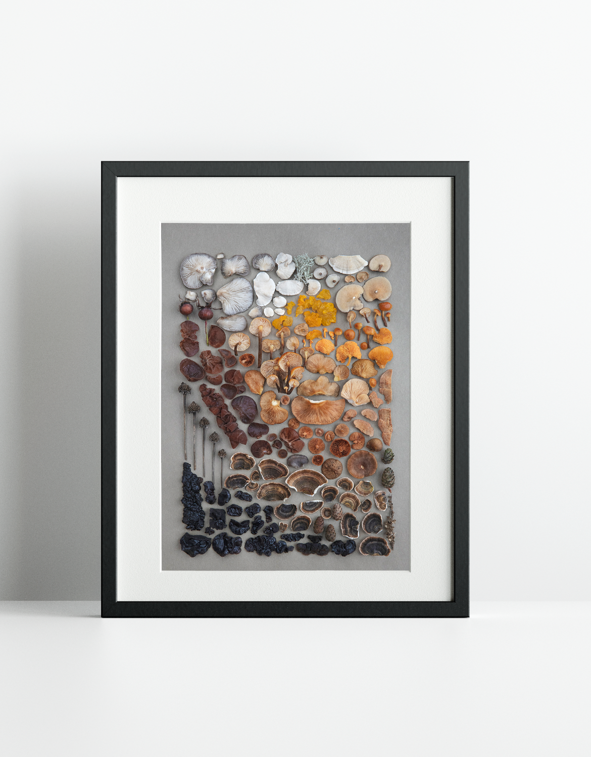 Fineart Print "Winter Mushrooms"