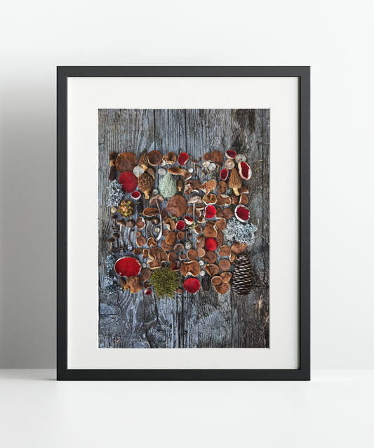 Fineart Print "Marteria Graubünden"