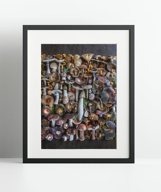 Fineart Print "Rotriss"