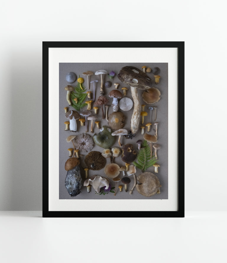 Fineart Print "Norway No.2"