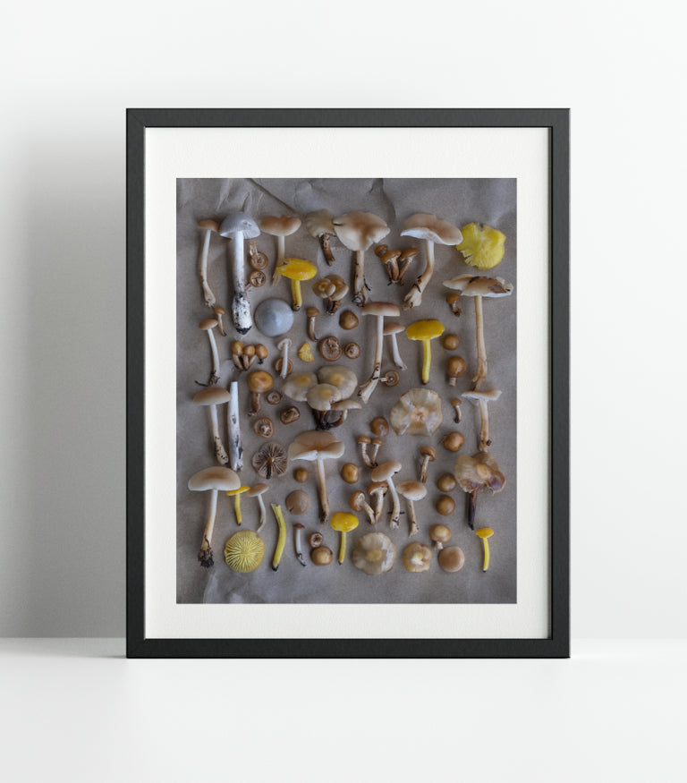 Fineart Print "Norway No.1"