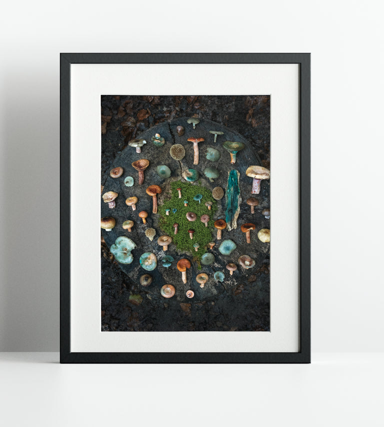 Fineart Print "Grünspan"