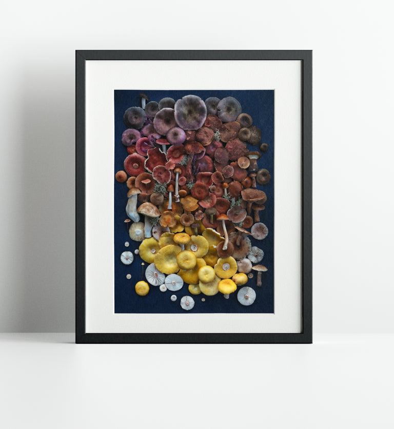 FIneart Print "Russola Fading"