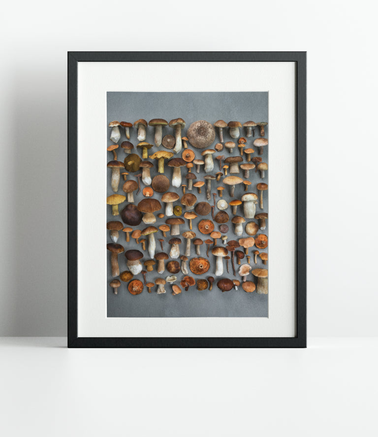 Fineart Print "Steinis Dan"