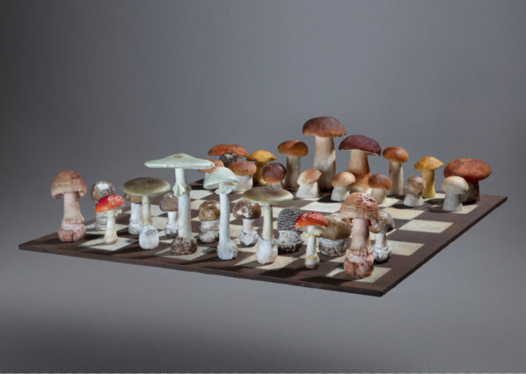 Fineart Print "Chessgame" Amanita Vs. Boletus