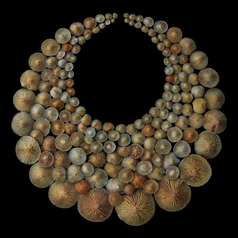 Fineart Print "Collier"