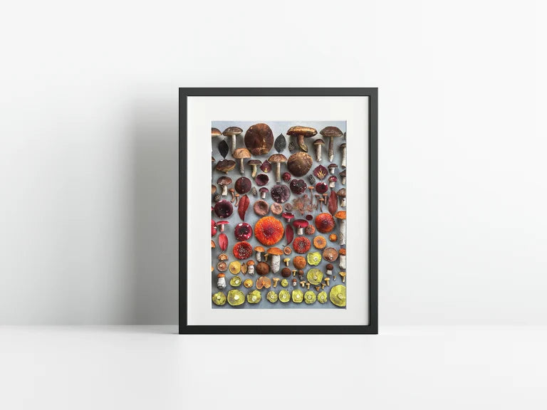 Fineart Print "Viral Fade"