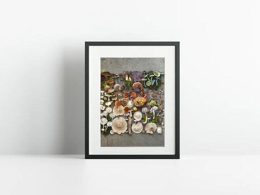 Fineart Print "Baltersweil Concrete"