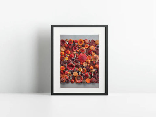 Fineart Print "All Red"